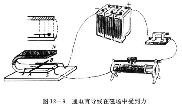 12-10.JPG (50498 字节)